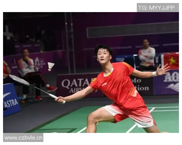 成都羽毛球队总决赛战术分析与表现评估之深度解读 成都羽毛球队总决赛战术分析与表现评估之深度解读